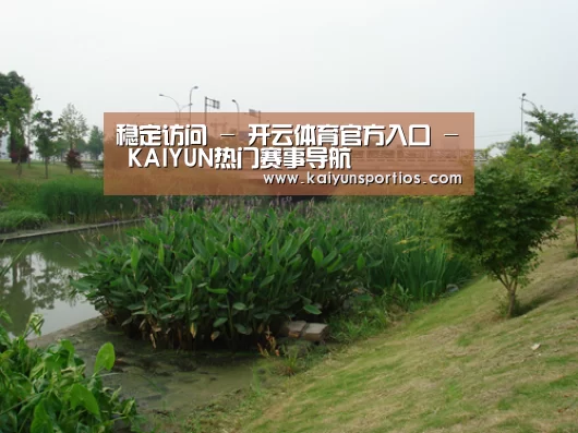 案例展示四(图1)
