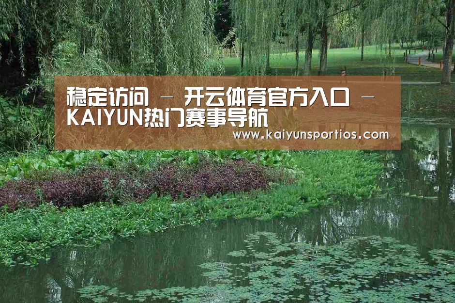 案例展示一(图1)