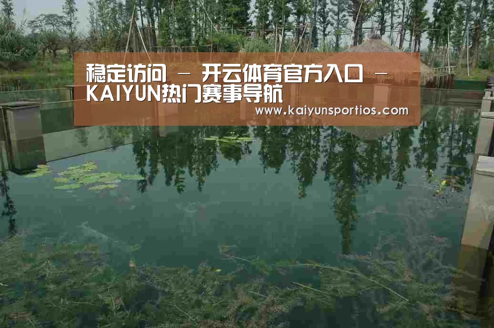 案例展示二(图1)