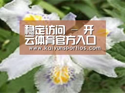 产品名称二