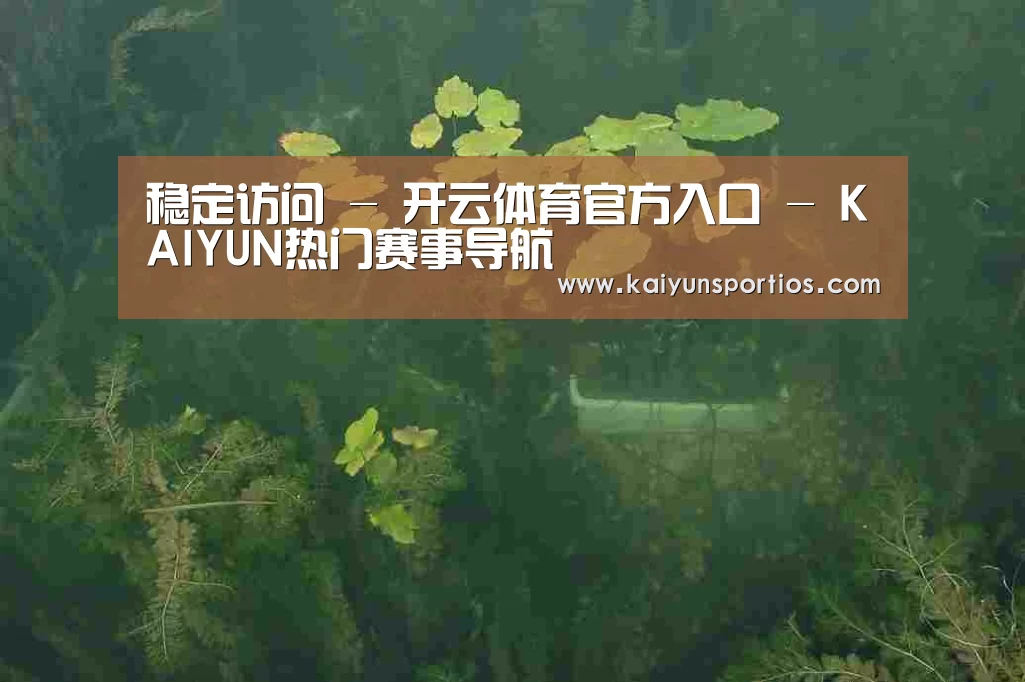 案例展示三