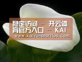 产品名称七