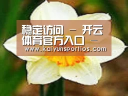 产品名称四