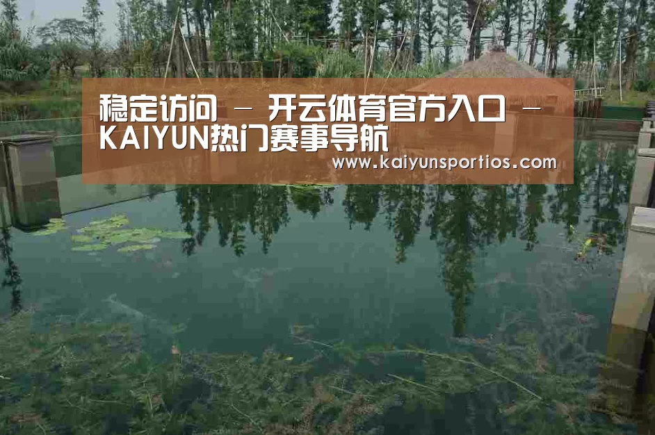案例展示二