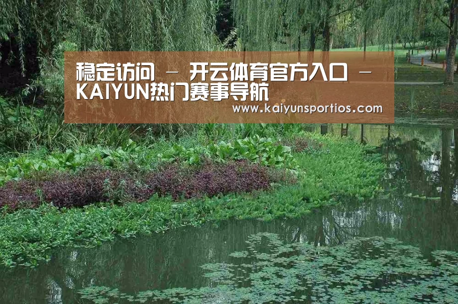 案例展示一