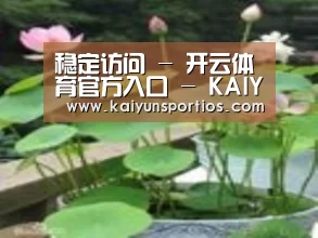 产品名称一