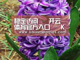 产品名称八