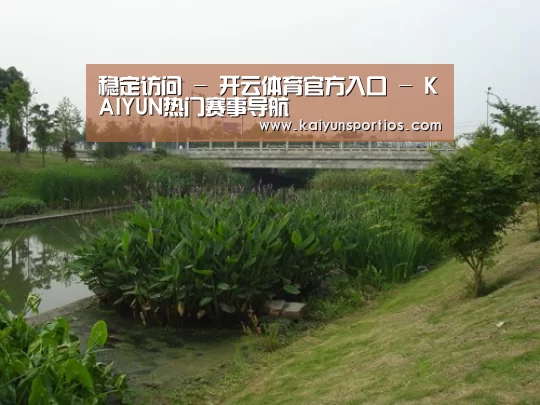 案例展示四