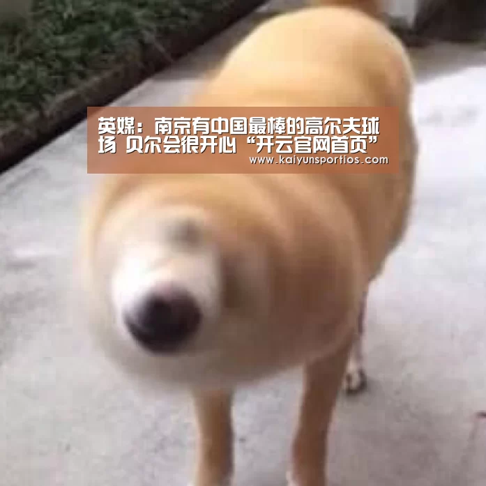 开云体育官方入口
