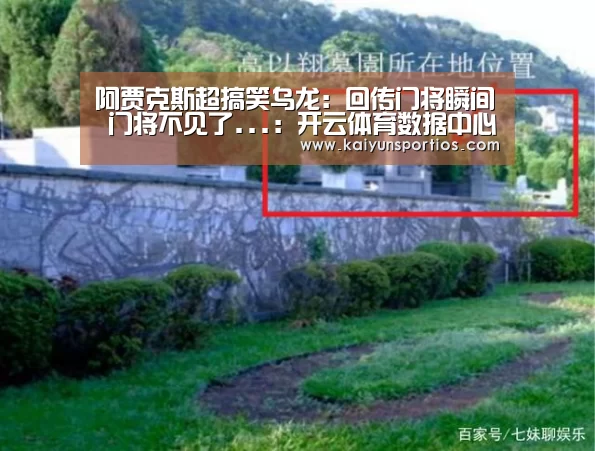 阿贾克斯超搞笑乌龙:回传门将瞬间 门将不见了...:开云体育数据中心(图3) 开云体育数据中心